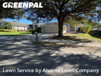 Lawn Care Servicein Ocoee,34761,Lawn Cutting by Alvarez Lawn Company, work completed in Dec , 2025