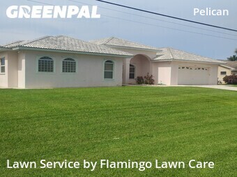 Lawn Care Service nearby Cape Coral, FL, 