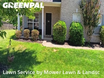 Lawn Cut nearby Spring Hill, TN, 