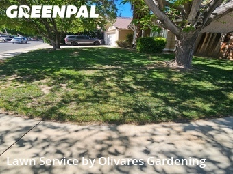 Lawn Mowing Service nearby Palmdale, CA, 