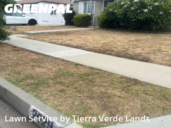 Work completed by yard-maintenance-professionals-in-Torrance-CA
