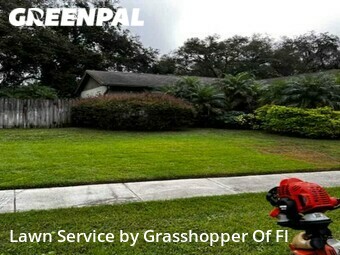 Lawn Care nearby Brandon, FL, 