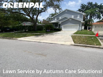 Yard Cutting nearby Tampa, FL, 