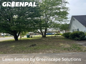 Yard Mowing nearby Jackson, TN, 