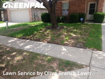 Grass Cutting nearby Haslet, TX, 