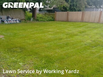 Commercial Landscaping In Kent,98031,Landscaping Cleanup by Working Yardz, work completed in Jul , 2026