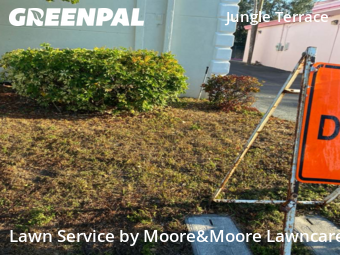 Grass Cutting nearby St. Petersburg, FL, 