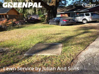 Yard Services in Mobile, 36617, Turf Services by Julian And Sons , work completed in Nov , 2025