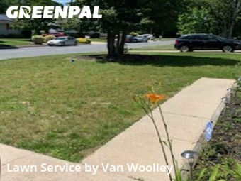 Yard Mowing nearby Gloucester Township, NJ, 