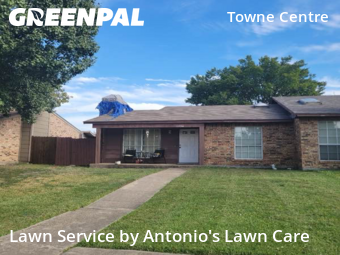 Lawn Maintenancein Mesquite,75150,Lawn Cutting by Antonio's Lawn Care, work completed in Jan , 2026