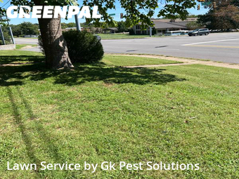 Lawn Care nearby Murfreesboro, TN, 