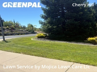 Lawn mowing work completed in Rocklin, CA