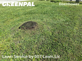 Yard Cutting nearby Lehigh Acres, FL, 