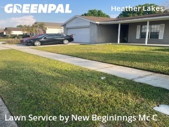 Yard Cutting nearby Brandon, FL, 