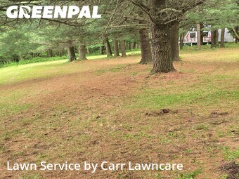 Lawn Maintenance nearby Honeoye, NY, 