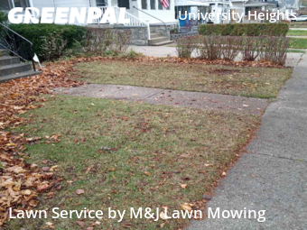 Lawn Service nearby Buffalo, NY, 