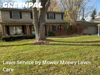 Grass Cut nearby Clinton Township, MI, 