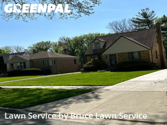 Grass Care in River Forest, 60305, Yard Grooming by Bruce Lawn Service, work completed in Dec , 2025