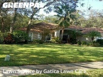 Yard Cutting nearby Ocoee, FL, 