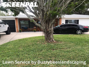 Lawn Care nearby St. Petersburg, FL, 