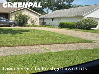 Lawn Care nearby Spring, TX, 