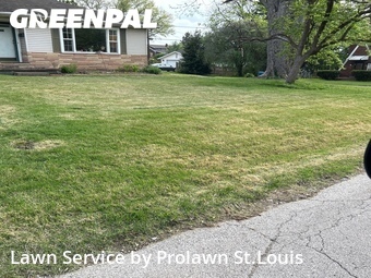 Grass Cutting nearby Alton, MO, 