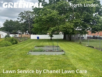 Grass Cut nearby Columbus, OH, 