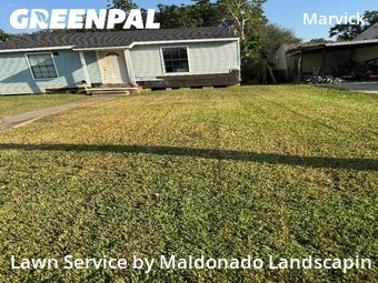 Lawn Mowin Pasadena,77506,Lawn Cut by Maldonado Landscapin, work completed in Nov , 2025
