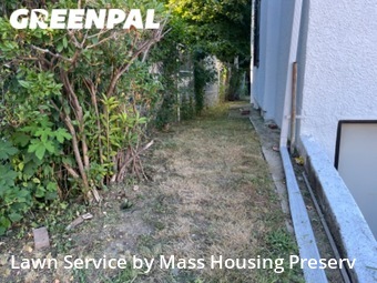 Lawn Mow nearby Boston, MA, 