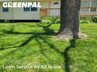 Lawn Mowing nearby Independence, MO, 