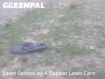 Grass Cutting nearby Bellingham, WA, 