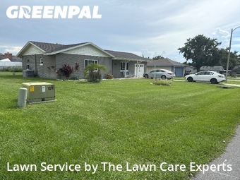 Lawn Mow nearby Lakeland, FL, 