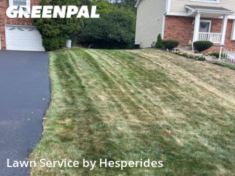 Lawn Care nearby Pittsburgh, PA, 