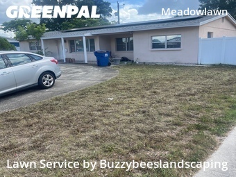 Lawn Cut nearby St. Petersburg, FL, 