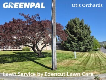 Lawn Cut nearby Otis Orchards East Farms, WA, 