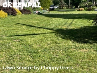 Lawn Cut nearby Englewood Cliffs, NJ, 