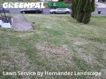 Lawn Care nearby Springfield Township, PA, 