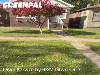 Grass Cut nearby Gary, IL, 