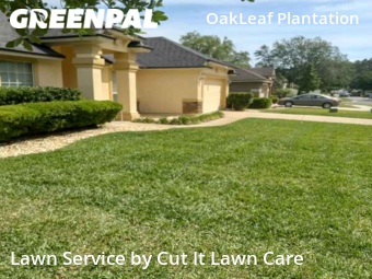 Grass Cutting nearby Orange Park, FL, 