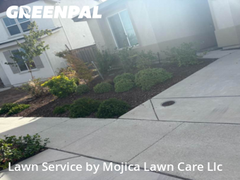 Garden Trimming in Roseville, 95747, Lawn Upkeep by Mojica Lawn Care Llc, work completed in Nov , 2025