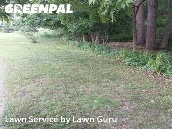 Lawn Mowing Service nearby Eagan, MN, 