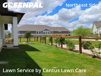 Lawn Servicein Schertz,78154,Yard Mowing by Cantus Lawn Care , work completed in Nov , 2025
