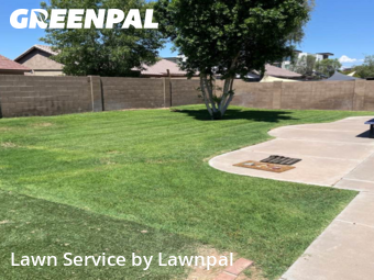 Landscaping Installation Mesa,85209,Landscaping Services by Lawnpal, work completed in Nov , 2025