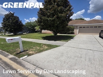 Lawn Cut nearby Clermont, FL, 