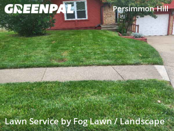 Lawn Mowing nearby Olathe, KS, 