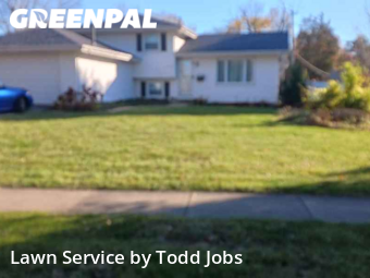 Lawn Cutting nearby Carol Stream, IL, 