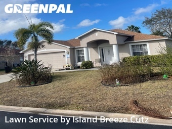 Grass Cut nearby Fort Myers, FL, 