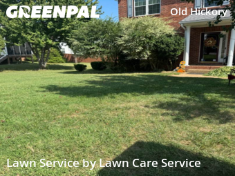 Grass Cut nearby Green Hill, TN, 