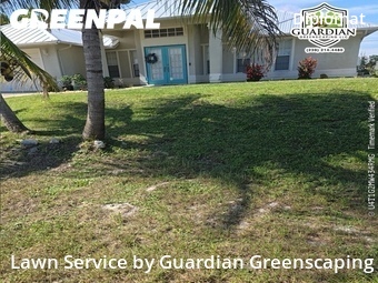 Lawn Cut nearby Cape Coral, FL, 