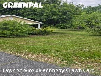 Lawn Cut nearby Kannapolis, NC, 